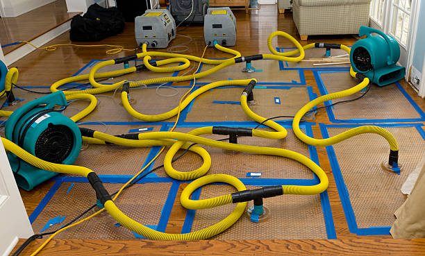 Professional Water Extraction technician working in Luxemburg, WI